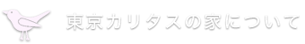 東京カリタスの家について